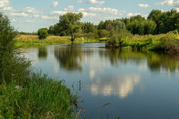 Anfang August / ***