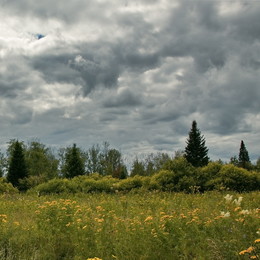 Sibirische Sommer / ***