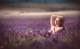 Lavendel / Ph: Roman Sergeev http://vk.com/srfoto