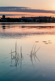 Die industrielle Landschaft / ***
