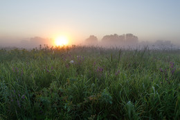 Morgennebel / ***