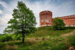 Tree&Tower. / Tree&Tower.