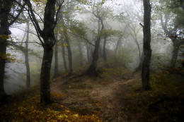 Bergwege ..... / ***