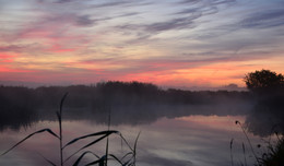 Foggy Landschaft / ***