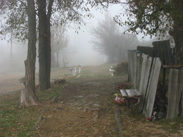 Nebel / ***