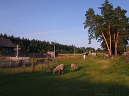 Pastorale / ***