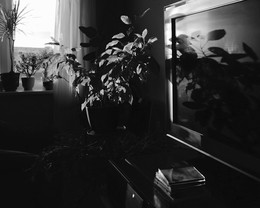 einfach morgens / ...
