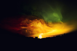 Rasta / ***