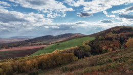 Herbst / ***