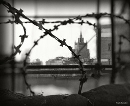 City / ***