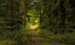 Im Einklang mit der Natur / ***
