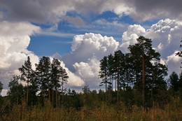 Wolken / ***
