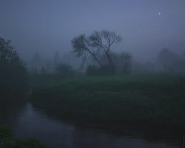  / 550d + 15-85mm