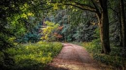 Morgen wird der Herbst. / ***