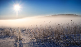 Winter Gras / ***