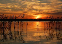 Sonnenuntergang / ***