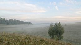 Nebliger Morgen / ***