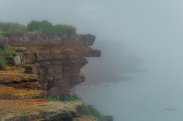Im Nebel / ***