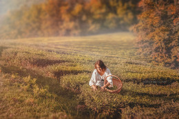 Herbst / ***