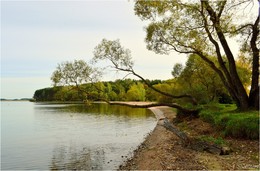Autumn Strand / ***