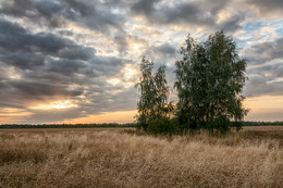 Autumn etude / ***