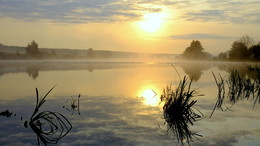 Morgen / ***