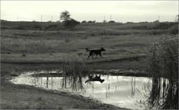 Spiegelung / ***
