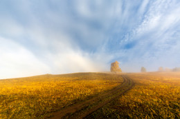 Straße zum Herbst / ***