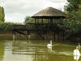 Schwanensee / ***