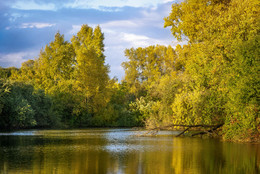 Schwimmbecken / ***