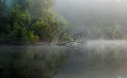 düsterer Morgen / ***