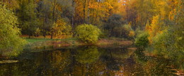 Herbstwald / ***