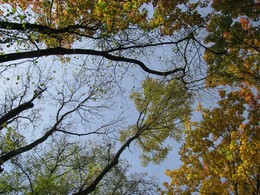 Der Beginn des Herbstes / ***
