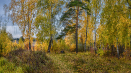 Herbst ... / ...