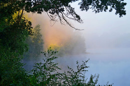 Misty Morgen .... / ***