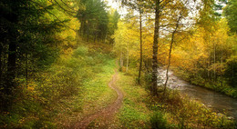 Forstweg / ***