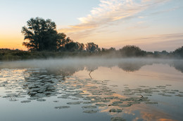 Auf dem See / ***