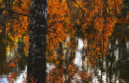 Herbst / ***