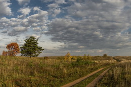 Herbsttag / ***