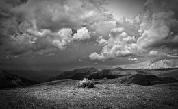 In den Bergen. / ***