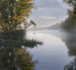 Herbst / ***