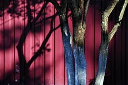 Foto / ***