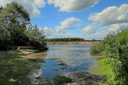 am Ufer / ***