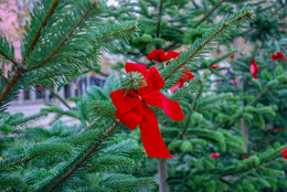 Weihnachten / ***