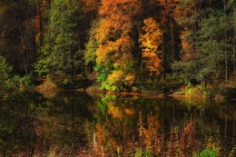 Verfallen Teich / ***