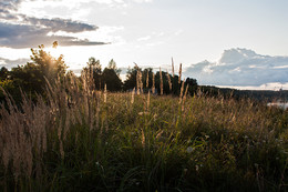 in der Sonne / ***