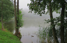 Im Nebel / ***