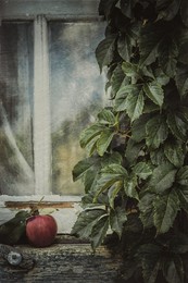 Das alte Haus / ***