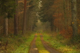 Im Dezember / ***