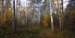 Herbst / ***
